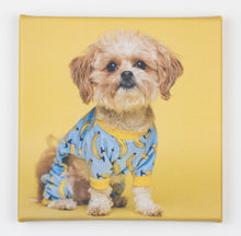 Load image into Gallery viewer, Small Photo Canvas