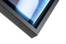 Load image into Gallery viewer, Framed Canvas prints