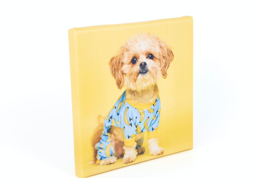Small Photo Canvas